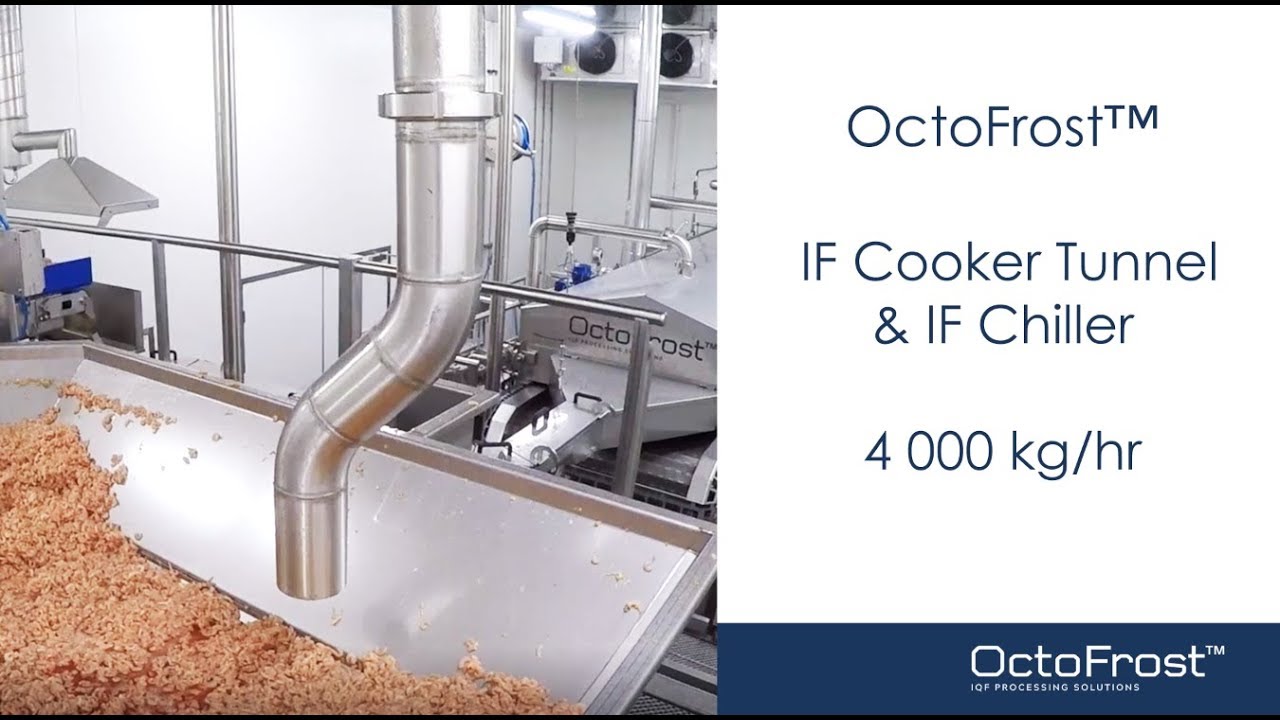 OctoFrost™ IQF Processing Line - Shrimps 4,000 kg -  Model 2018