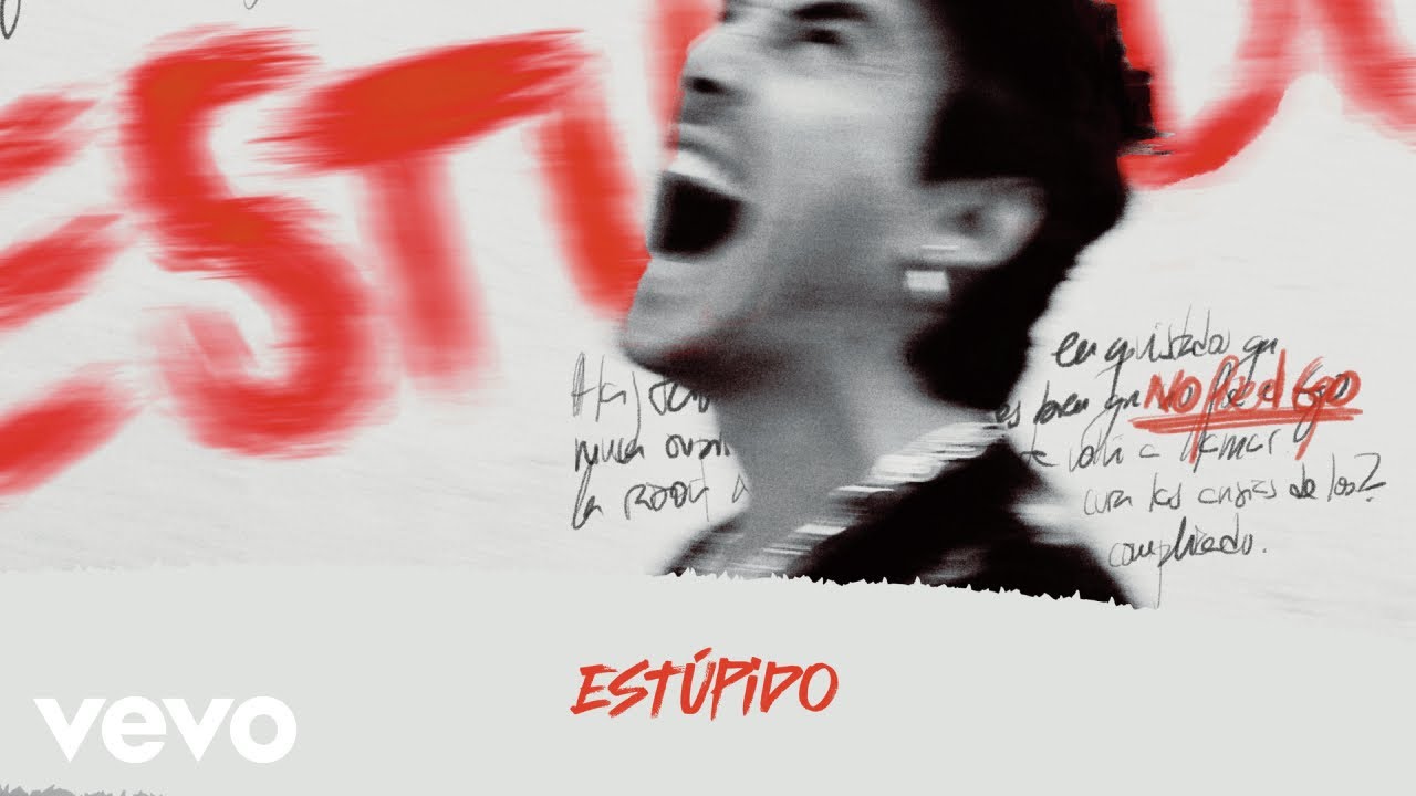 Andrés Koi - Estúpido (Lyric Video)
