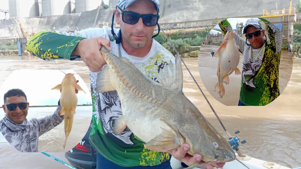 🎣PESCA DE ARMADO EN PUERTO SAN MARTÍN 