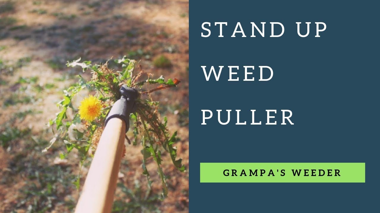 Grampa's Weeder - The Original Stand Up Weed Remover