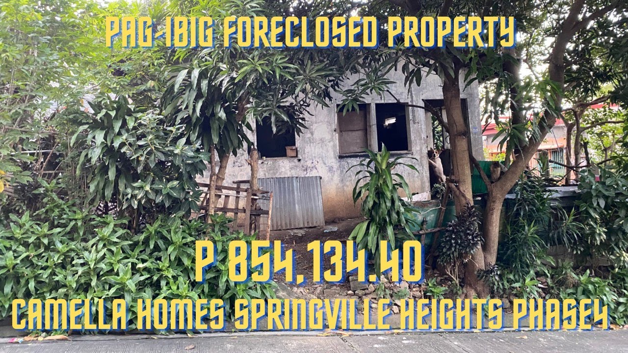 CAMELLA HOMES SPRINGVILLE HEIGHTS PHASE 4 / PAG-IBIG FORECLOSED PROPERTY / MURANG BAHAY
