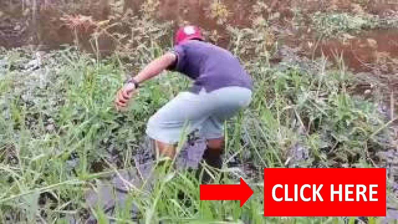 AMAZING Net Fishing Snail - Net Fishing Cambodia Traditional /  net 2