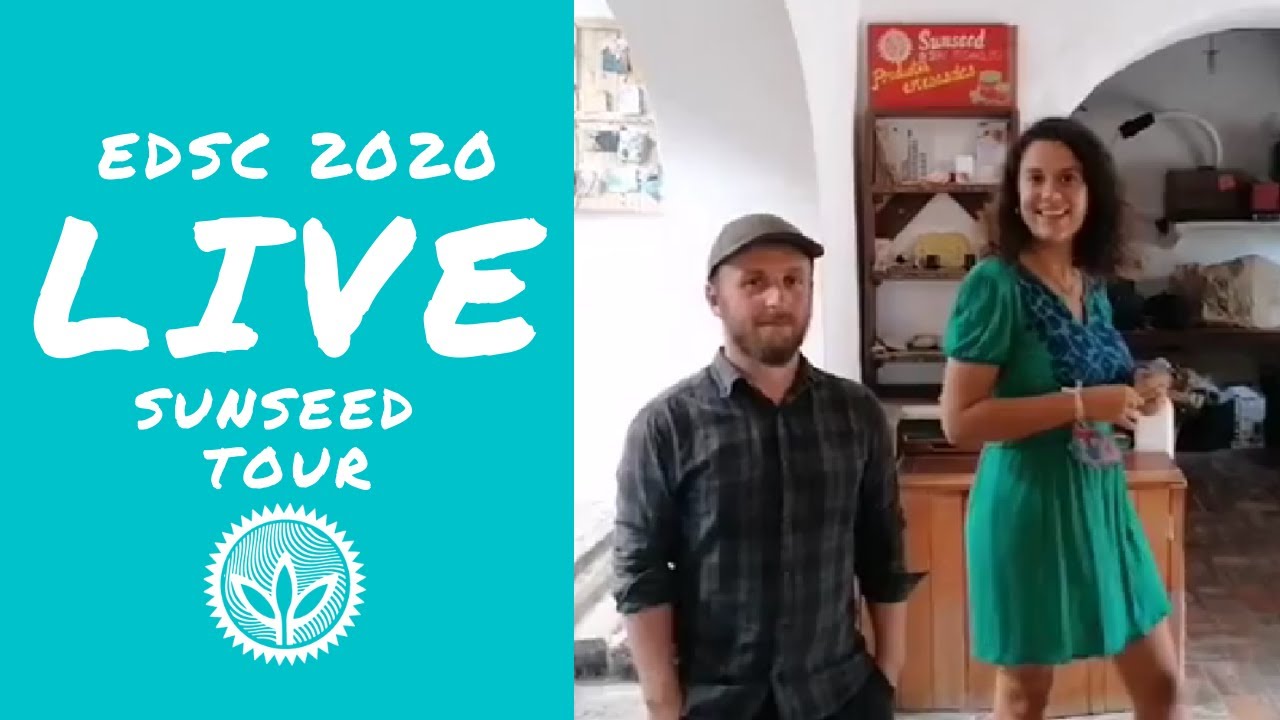 *LIVE* Sunseed Tour