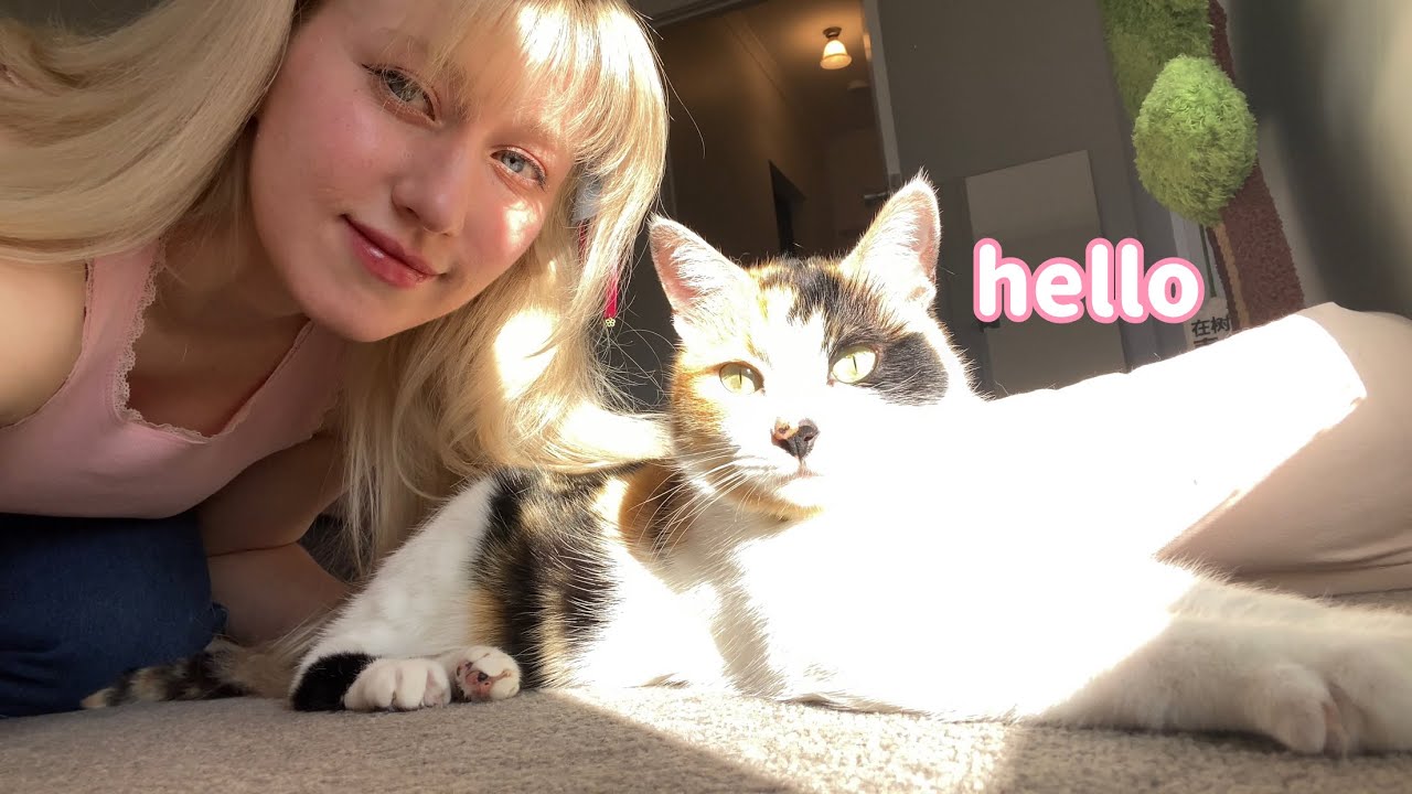 New anime room + life update :)
