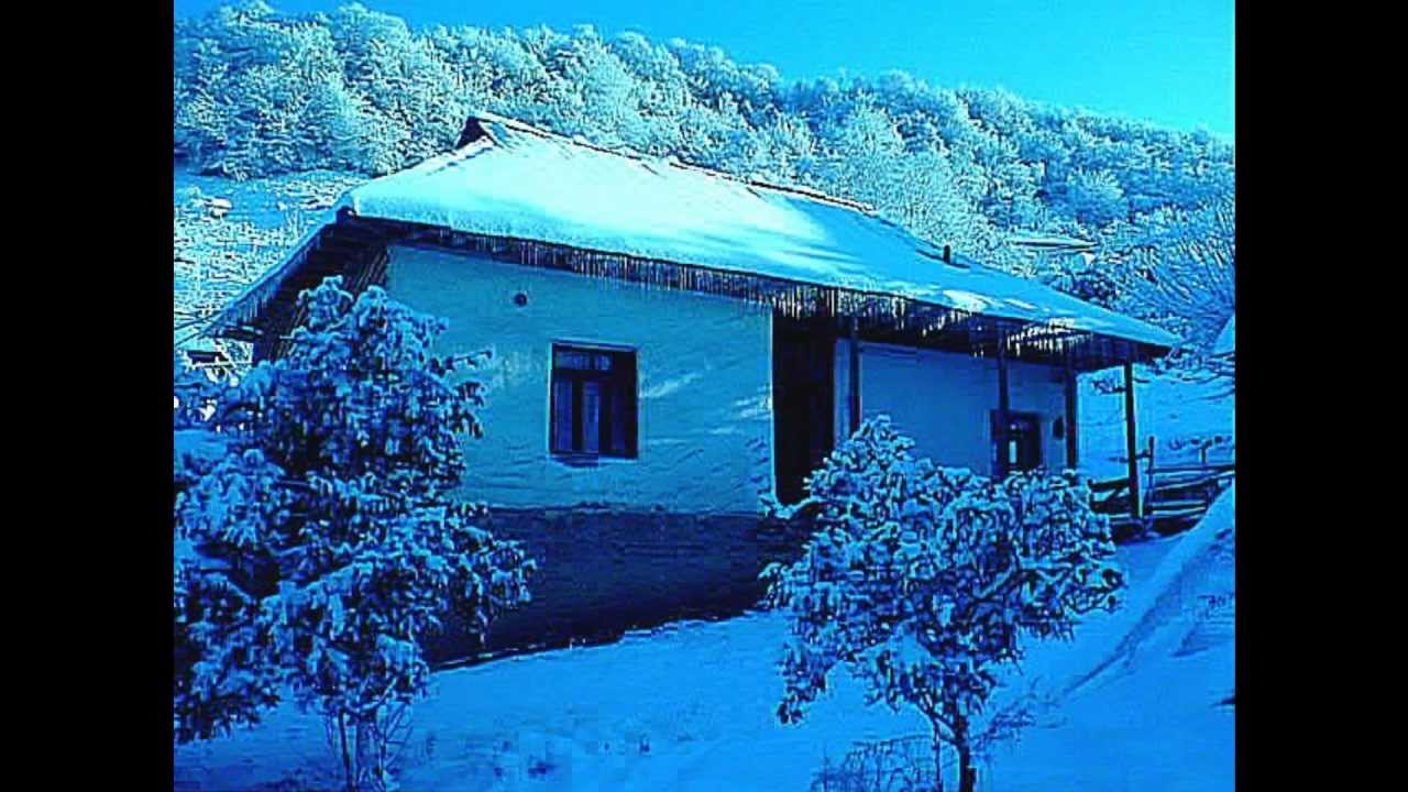 تِ نئی،مازندرانی،استاد خوشرو,Mazandaran- North of Iran