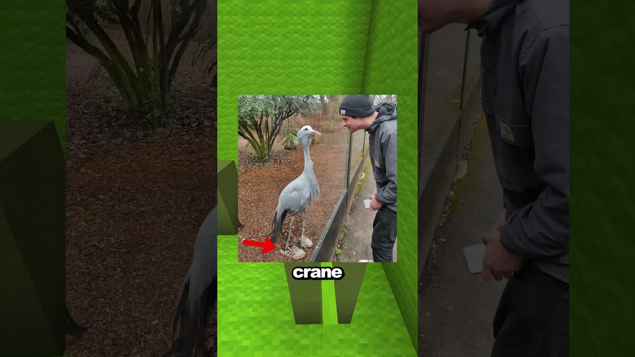 Confusing Photos You Have To Look At Twice!