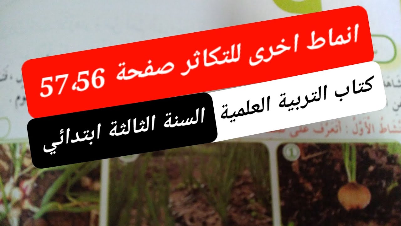 درس أنماط أخرى للتكاثر صفحة 57،56(التربية العلمية ) للسنة الثالثة ابتدائي الجيل الثاني.