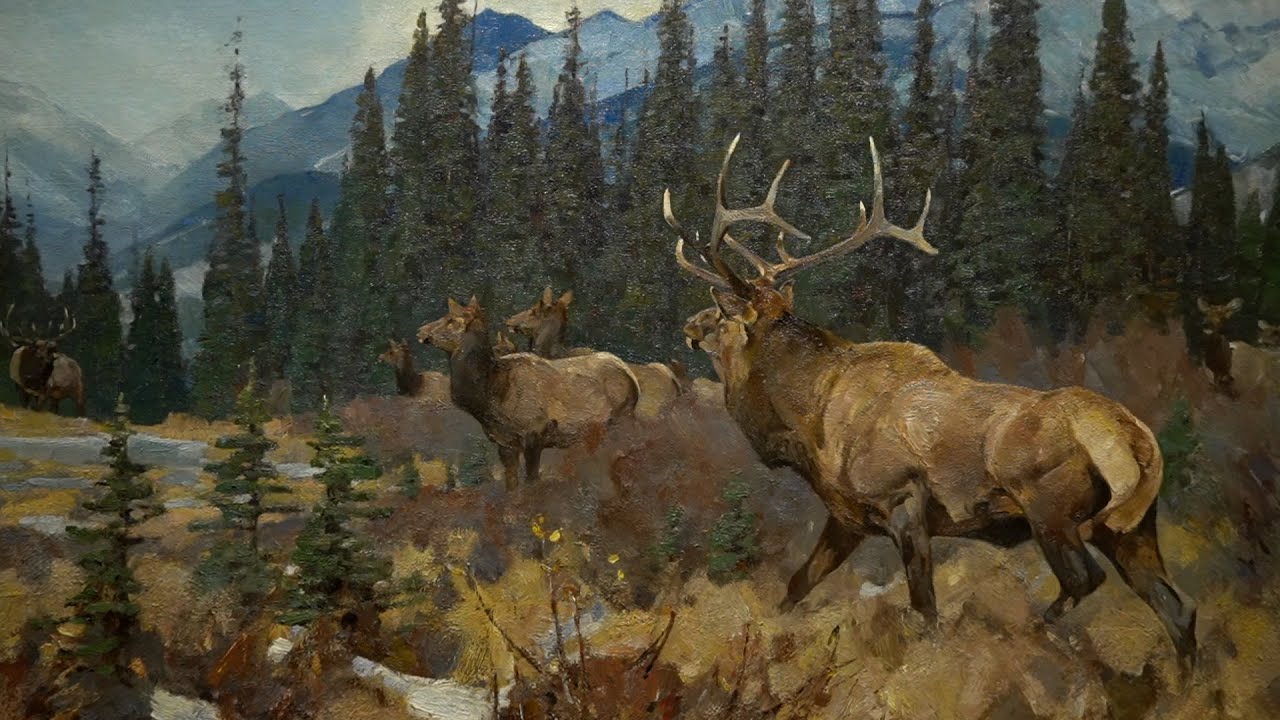 The Big Four - Wildlife Art