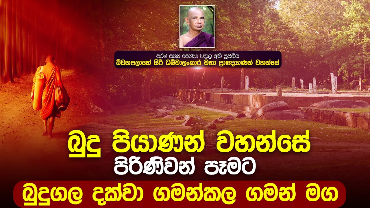⭕ බුදුන් වහන්සේ පිරිනිවන් පෑමට බුදුගල දක්වා ගමන්කල ගමන්මග | මීවනපලානේ සිරිධම්මාලංකාර මහතෙරුන් වහන්සේ