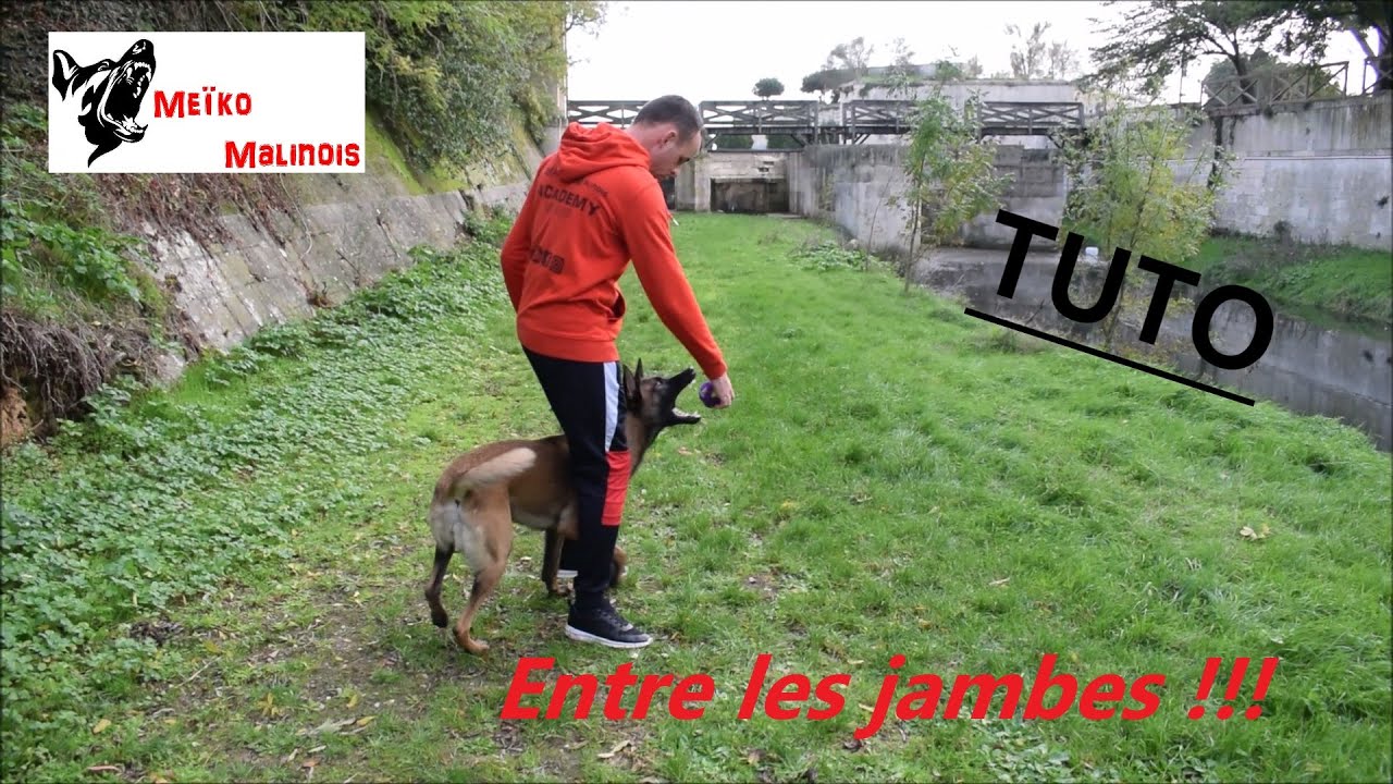 Tuto : Apprendre le 