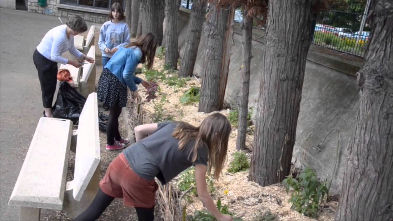 Coin nature au collège du Jardin des Plantes à Poitiers