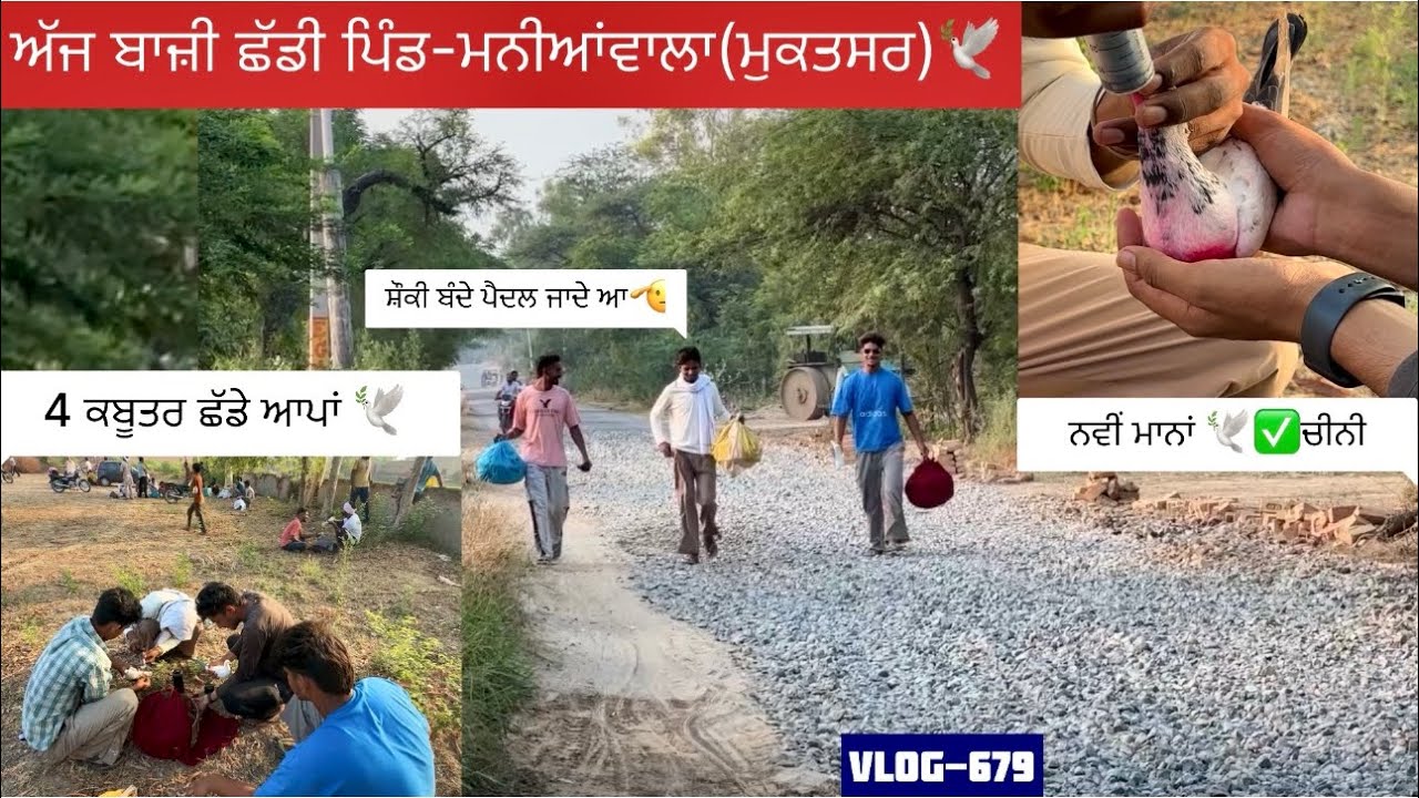 ਲਓ ਜੀ, ਅੱਜ ਬਾਜ਼ੀ ਛੱਡੀ ਪਿੰਡ-ਮਨੀਆਂਵਾਲੇ|| 2ਆਪਣੇ ਘਰੋਂ,1chober ਘਰੋਂ,1 ਲੰਬੀ ਆਲੇ ਮਿੱਤਰ ਦੀ|| ਦੇਖੋ ਸਾਰੀ video