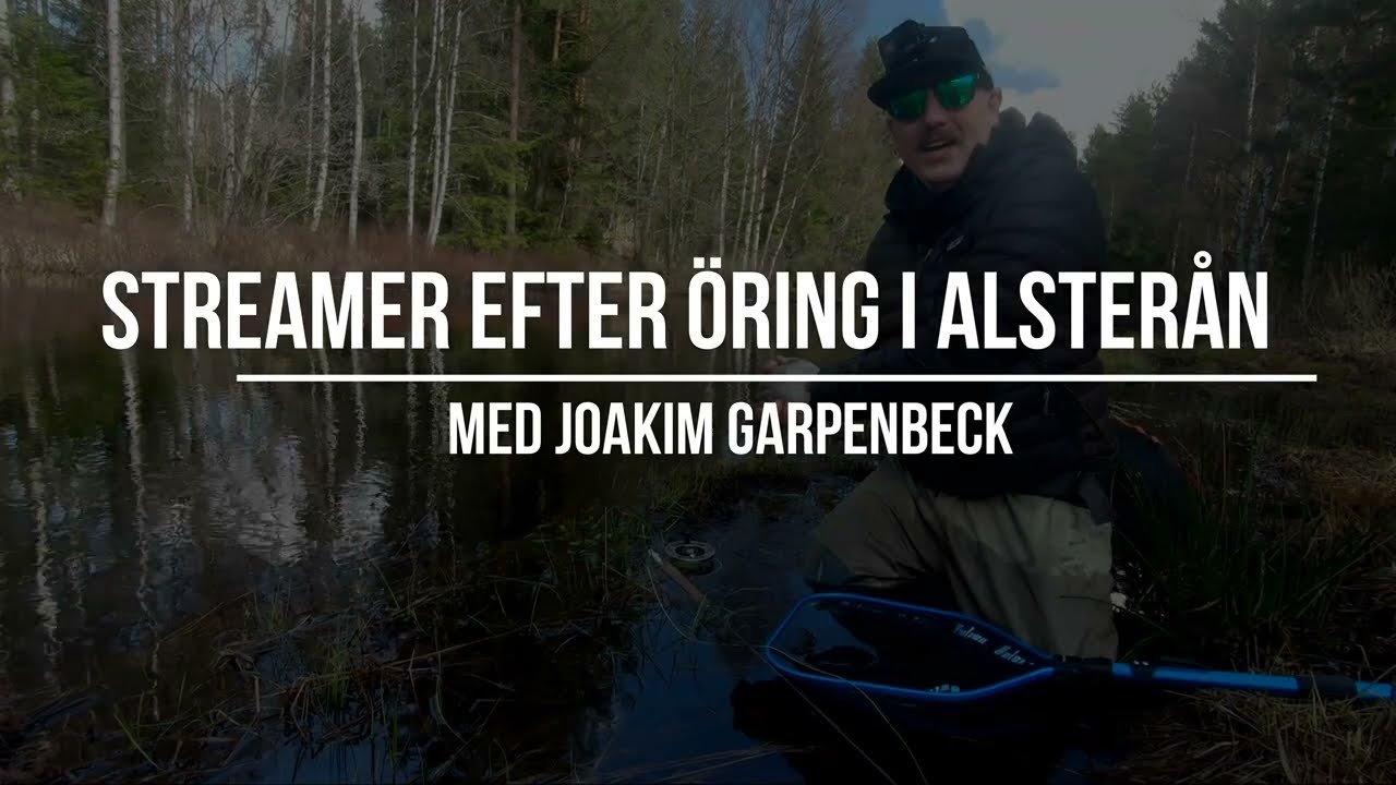 Streamer efter Öring i Alsterån