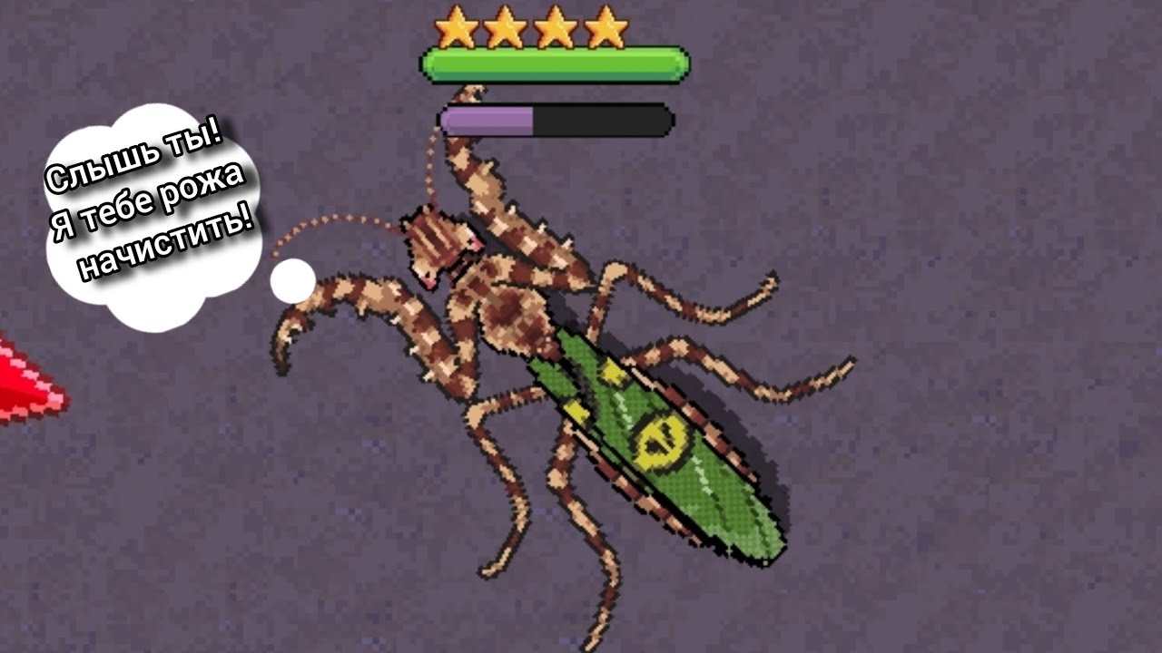 4Х ЗВЁЗДОЧНЫЙ ЦВЕТОЧНЫЙ БОГОМОЛ в Pocket Ants
