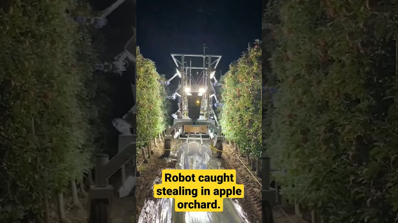Boston Dynamics Robot caught stealing in apple orchard | Robotic Technologies | Robotic Epoch