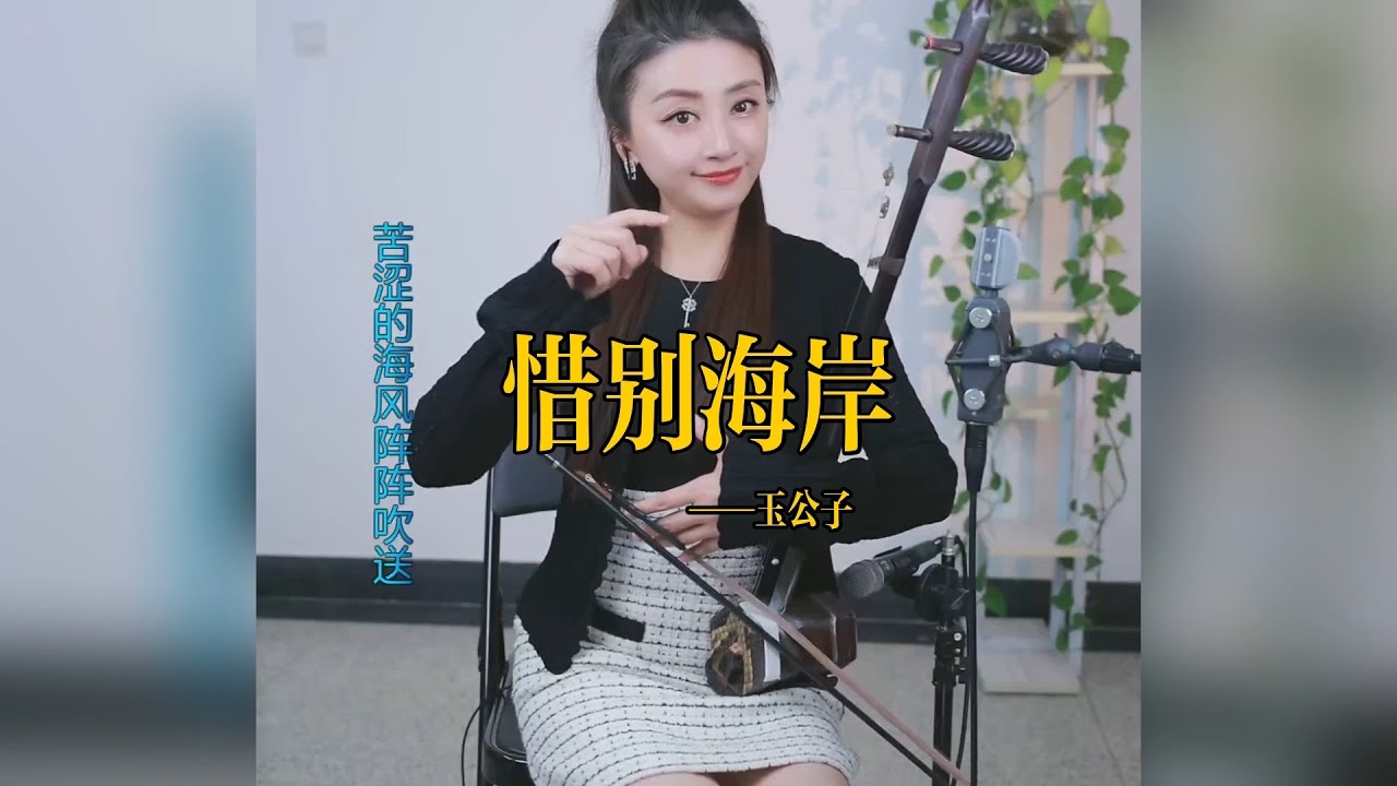 【玉公子】《惜别海岸》 玉公子jade son    國樂 乐器演奏 二胡 中國樂器 Chinese music