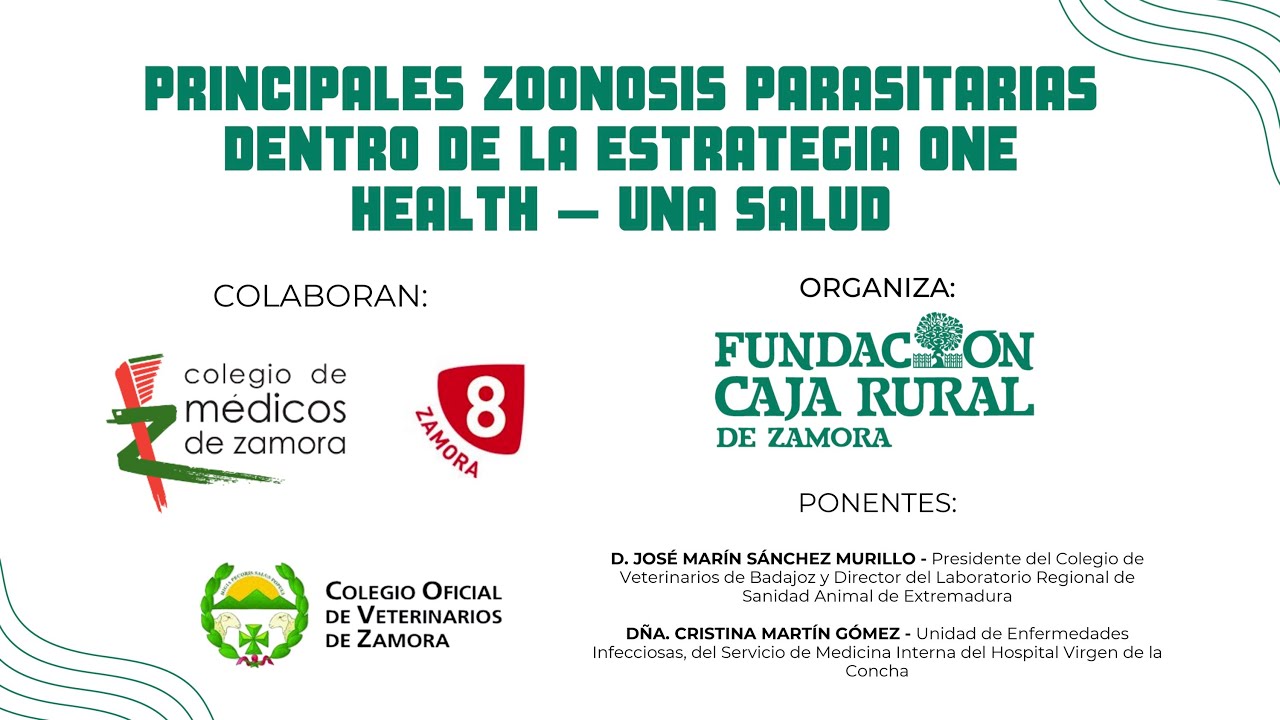 Fundación Caja Rural Zamora - InfoSalud (ONE HEALTH)