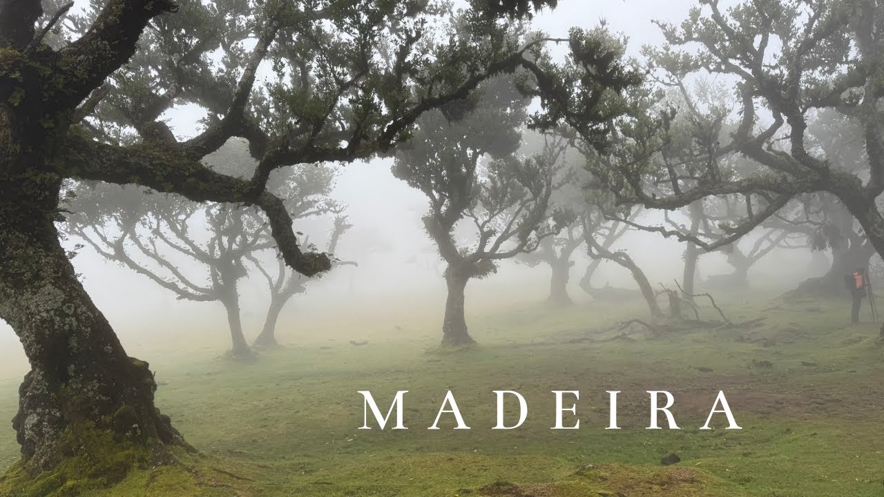 Madeira 2025 | Cinematic Travel Video 4K