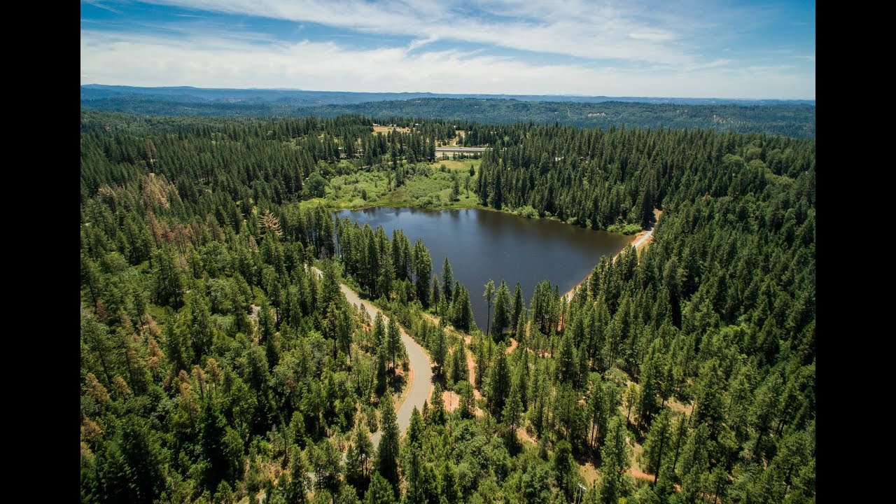 Northern California | Apple Hill Woods, El Dorado Hills California