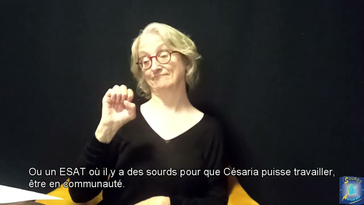 Demande aide informations LSF et sous-titrée
