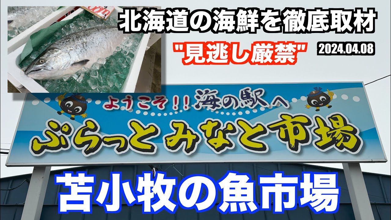 【苫小牧魚市場 北海道の海鮮を徹底取材 ぷらっとみなと市場 魚金商店】あばお 海鮮ちゃんねる #211 2024.04.08