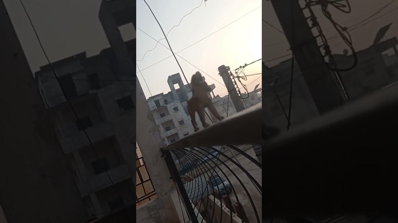 ٢٦ يناير ٢٠٢٦