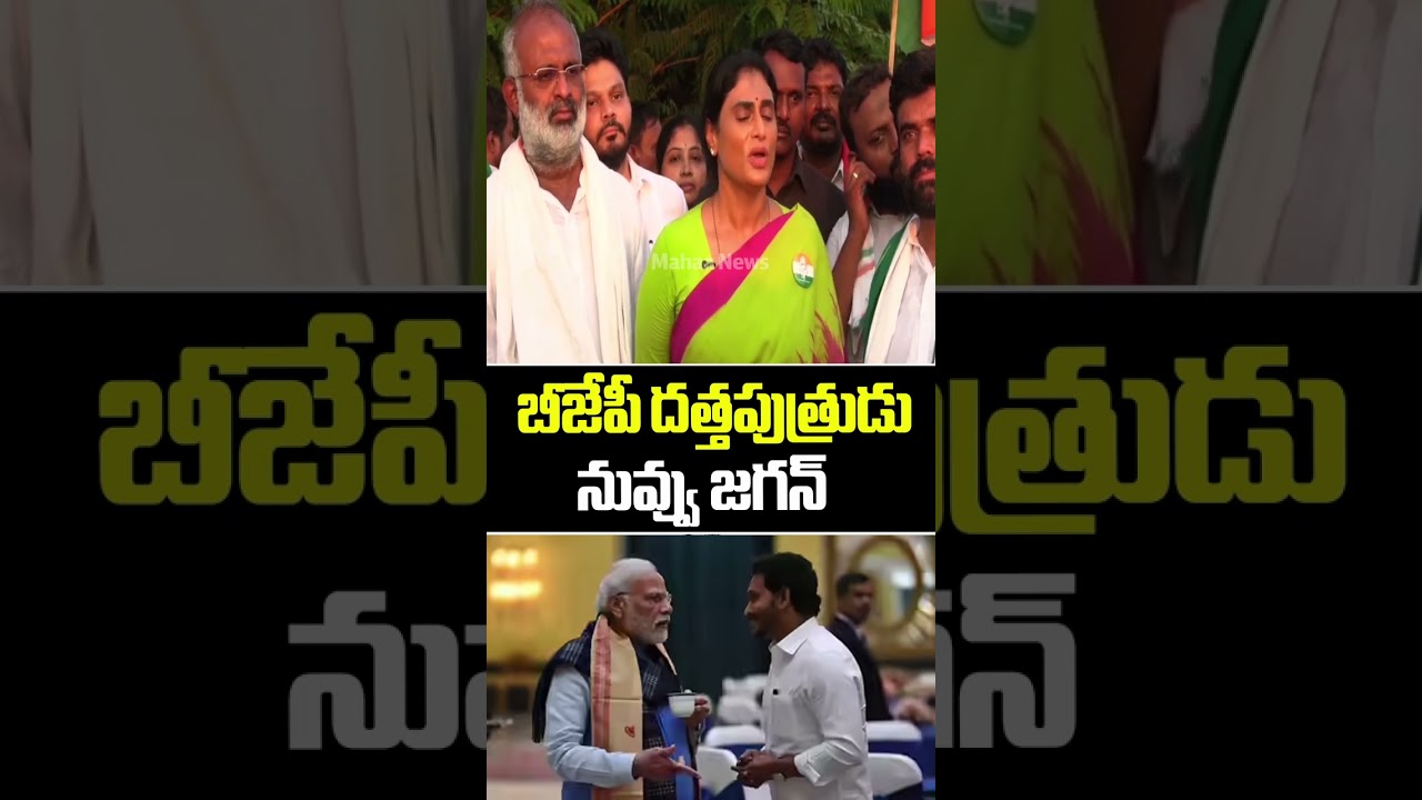 బీజేపీ దత్తపుత్రుడు నువ్వు జగన్..YS Sharmila Press Meet | Jagan | Mavigun | Mahaa News