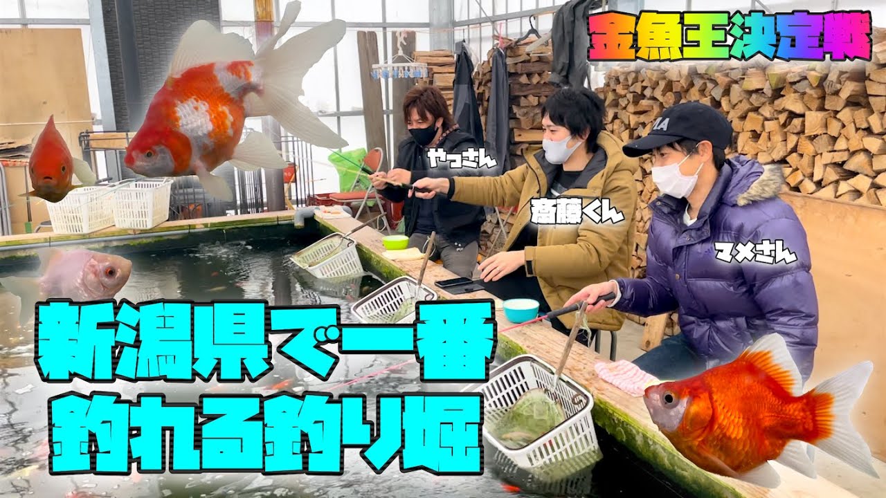 ワンバイト金魚王決定戦！！いやしの郷