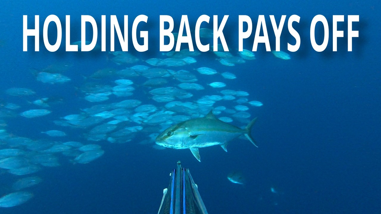 Holding Back Pays Off - Spearfishing Malta