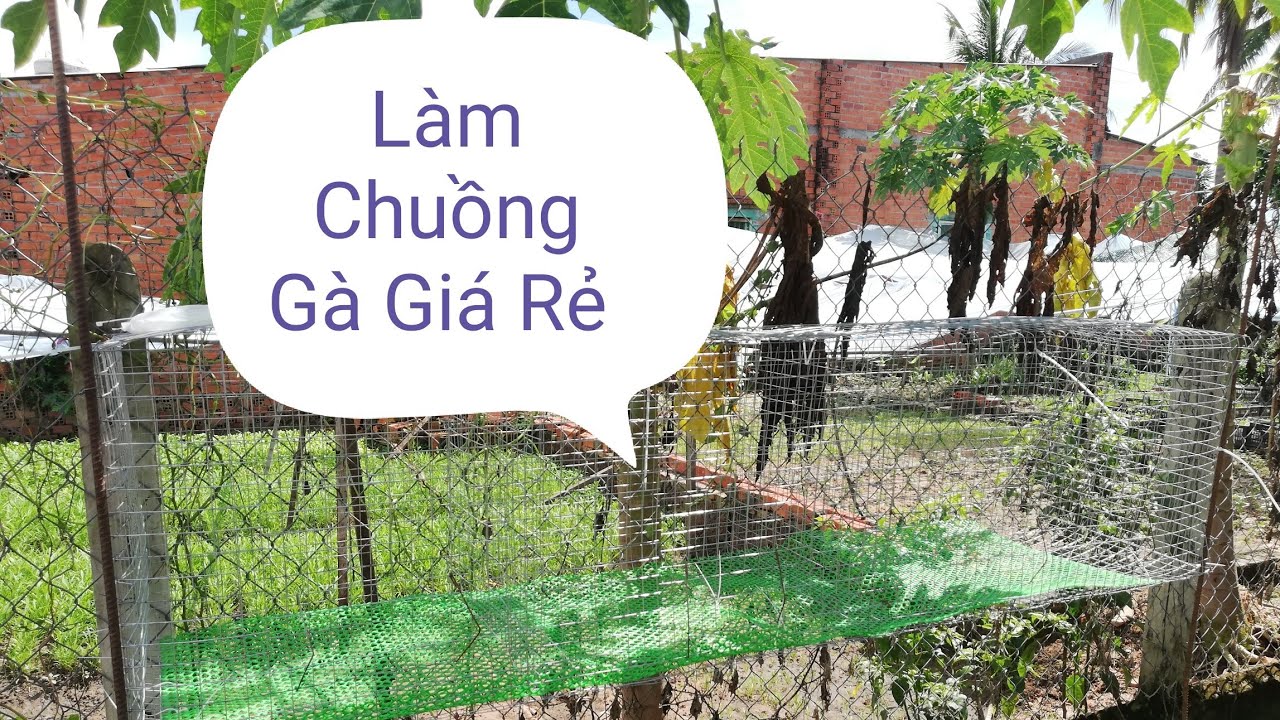 Chia Sẽ Làm Chuồng Gà Đường Kín 1m Chỉ Với Giá 150k 1 Cái Vừa Đẹp Vừa Rẻ Và Bền Lại Đơn Giản.