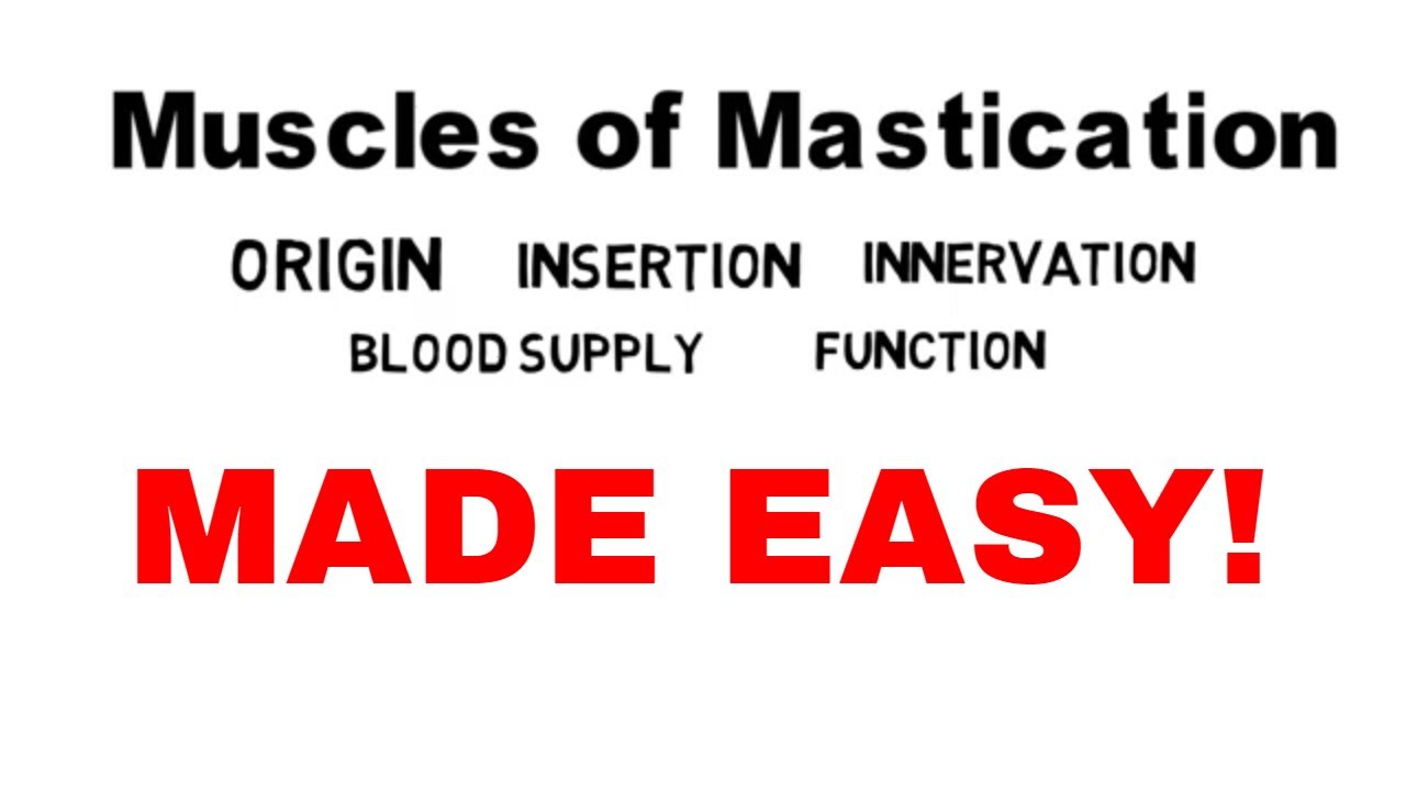 Muscles of Mastication | Head and Neck | Anatomy