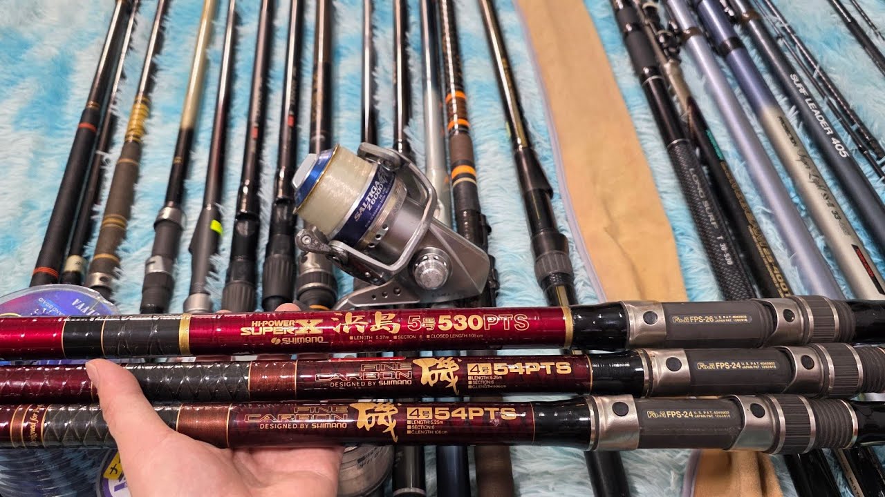vd 14/03 SALTIGA 6000. cước DAIWA JAPAN. iso ngọn 4~5. lục BX. zl 0923 534 779