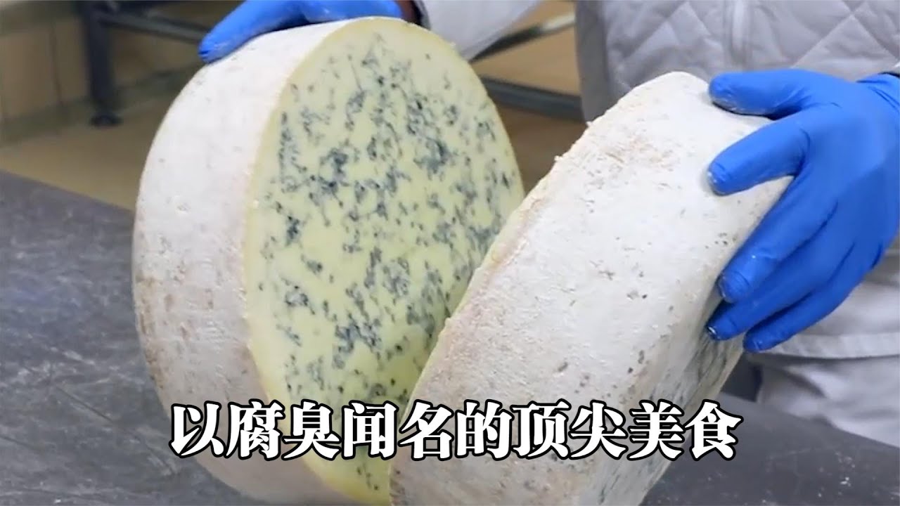 以腐臭闻名的蓝纹奶酪制作过程，一小节就卖2000块，老外垂涎三尺