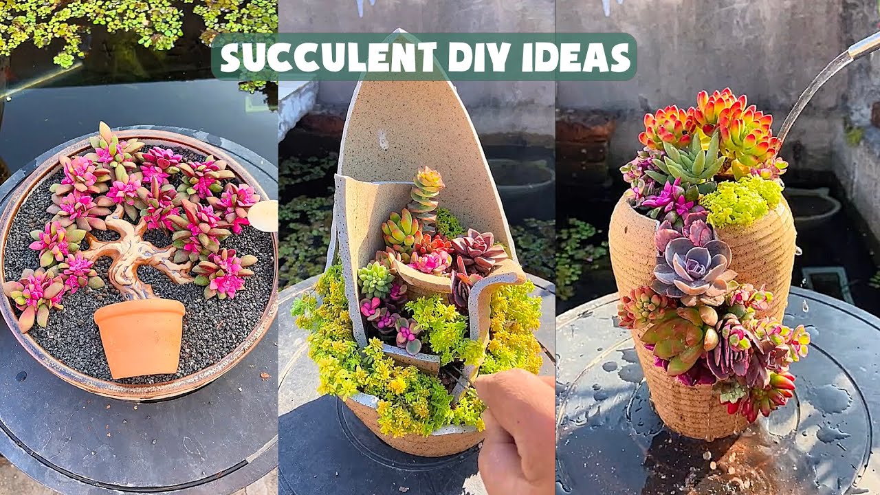 18 Succulent DIY Ideas| 18 Ý tưởng trang trí sen đá tuyệt đẹp| 多肉植物| 다육이들 | Suculentas