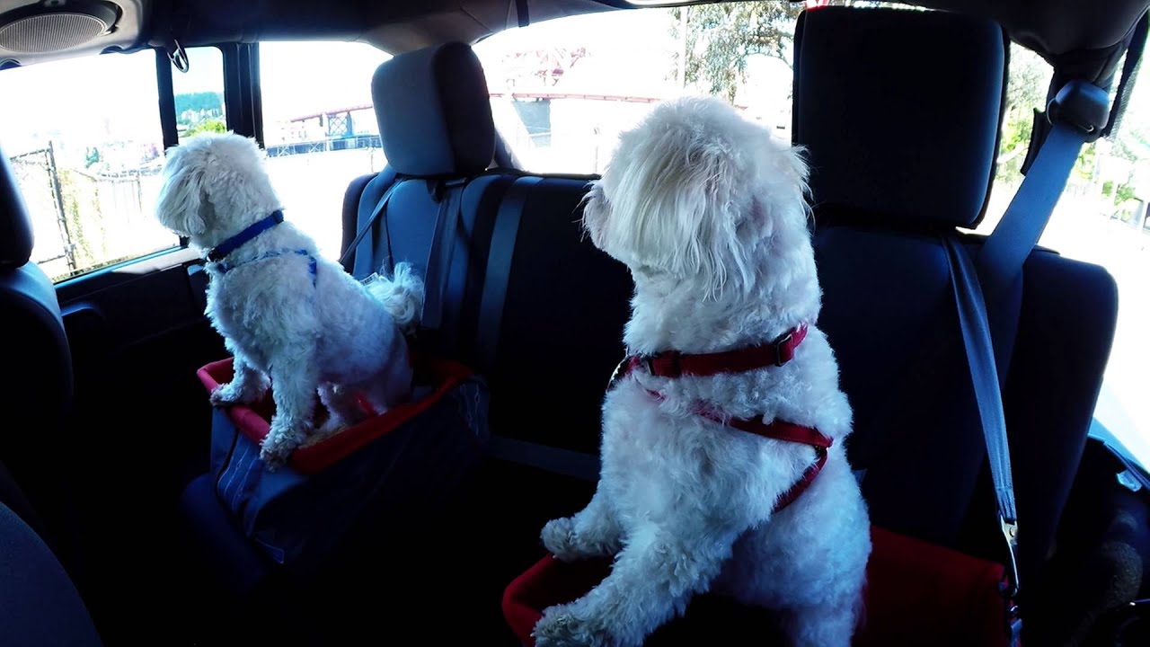 Bailey & Baxter!