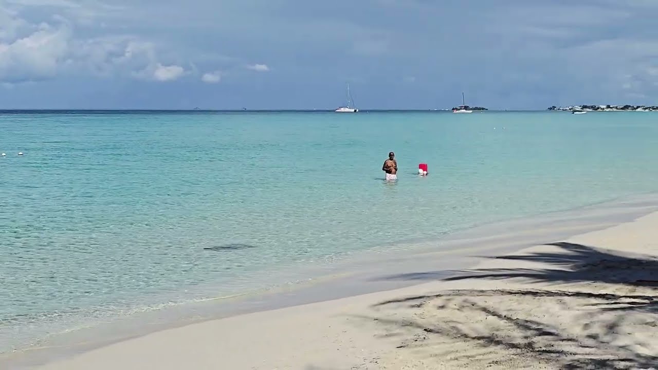 🏝 Paradise Escape | Calm Beach Vibes for Relaxation