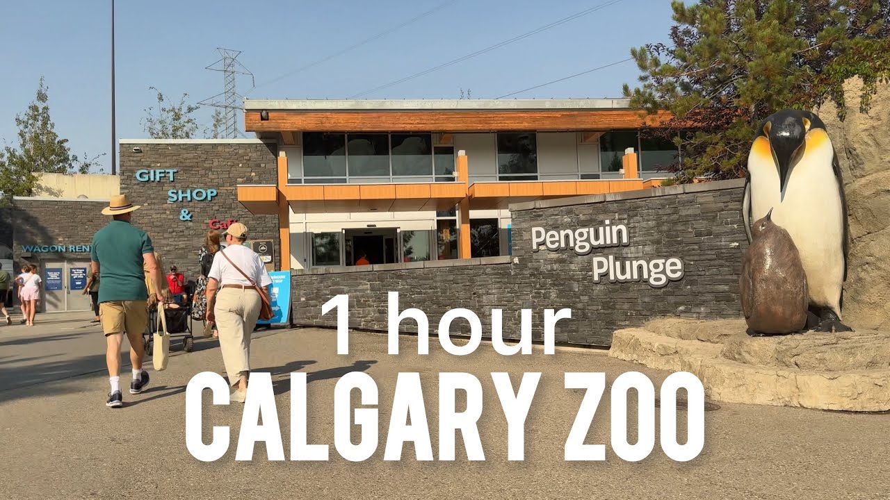 Complete Wheeling Tour l Accessible Calgary Zoo 🆎 🇨🇦 