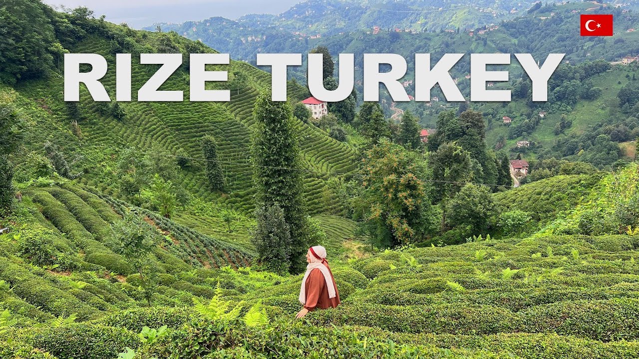 LIFE IN THE  TURKISH VILLAGE 🏡 | CITY WHERE TEA PRODUCED 🍃|  LIFE WITHOUT TECHNOLOGY📱