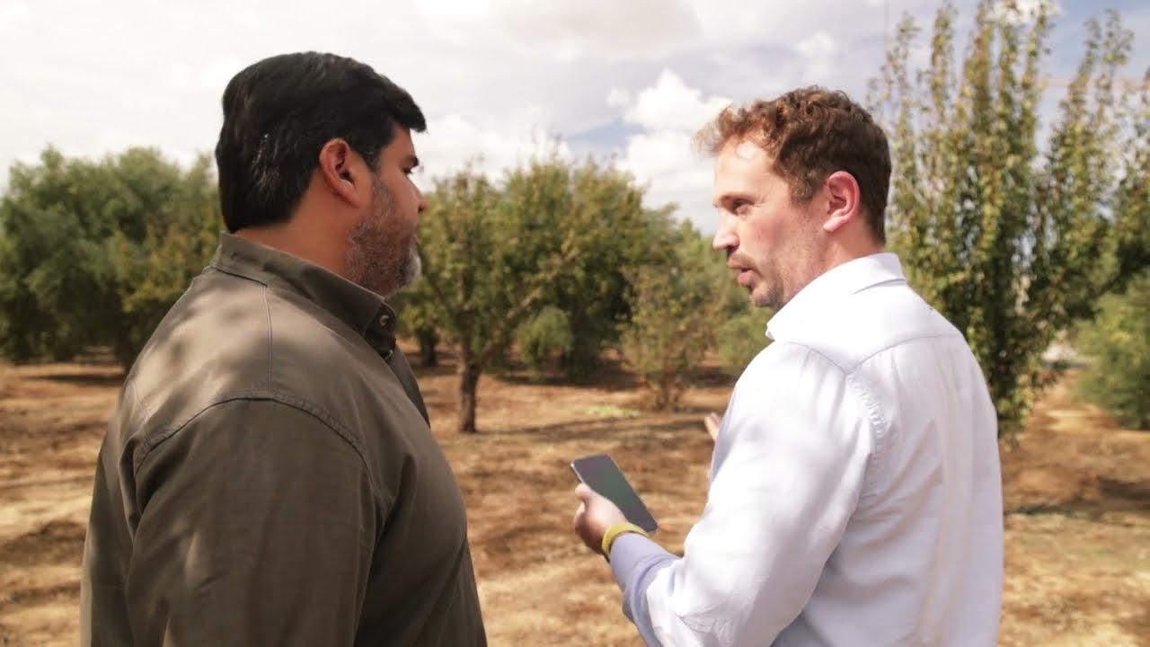 DS4CANOLA: Parametrización digital y trazabilidad del cultivo de colza para un manejo sostenible