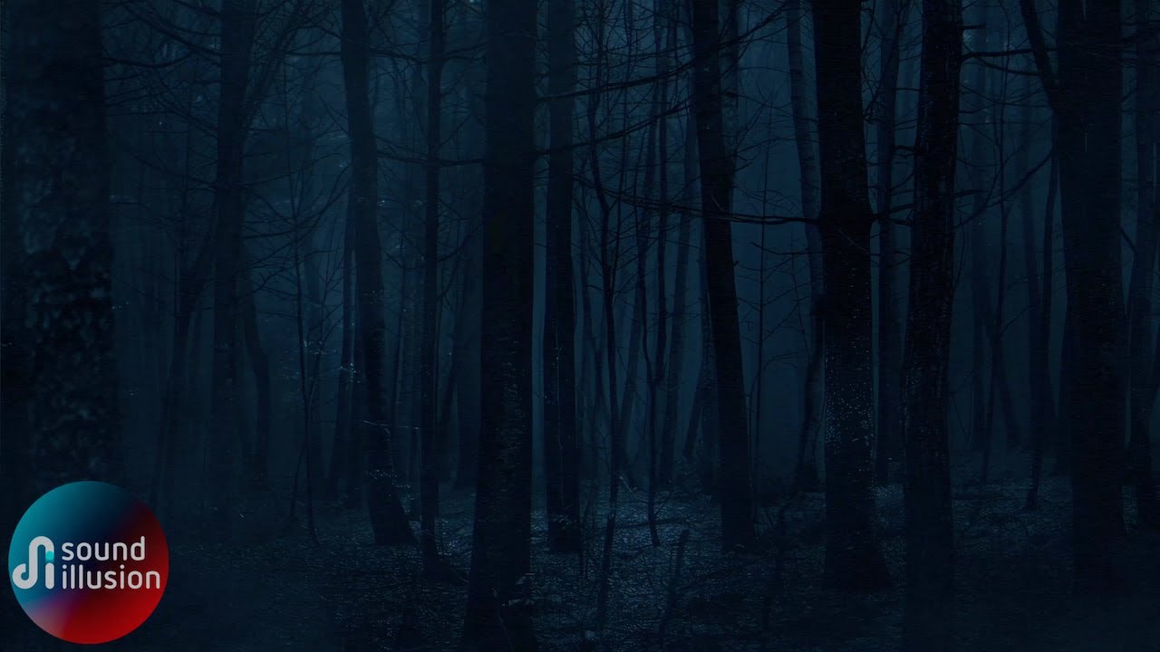 Haunted Forest Sounds | Dark nature Ambience