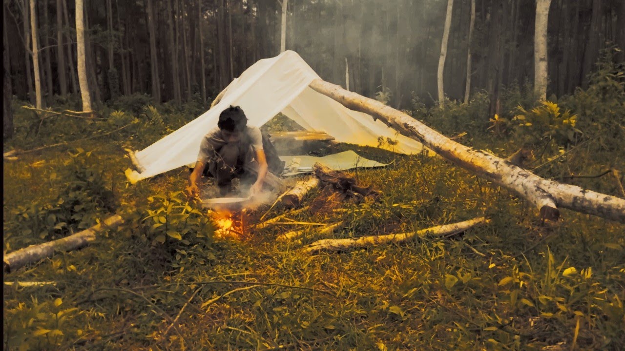AKU BERKEMAH DI HUTAN HUJAN SENDIRIAN | CAMPING SURVIVAL BUSHCRAFT 