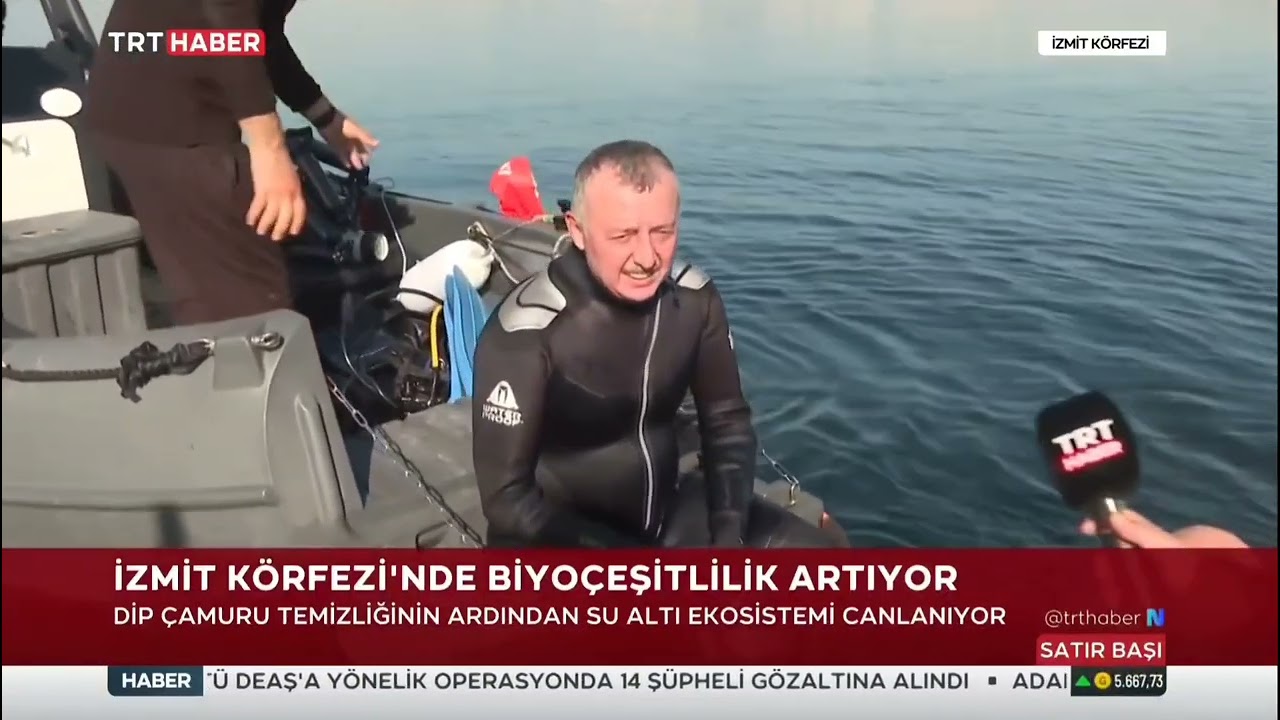 İzmit Körfezi Dip Çamuru temizliği işe yaradı mı?