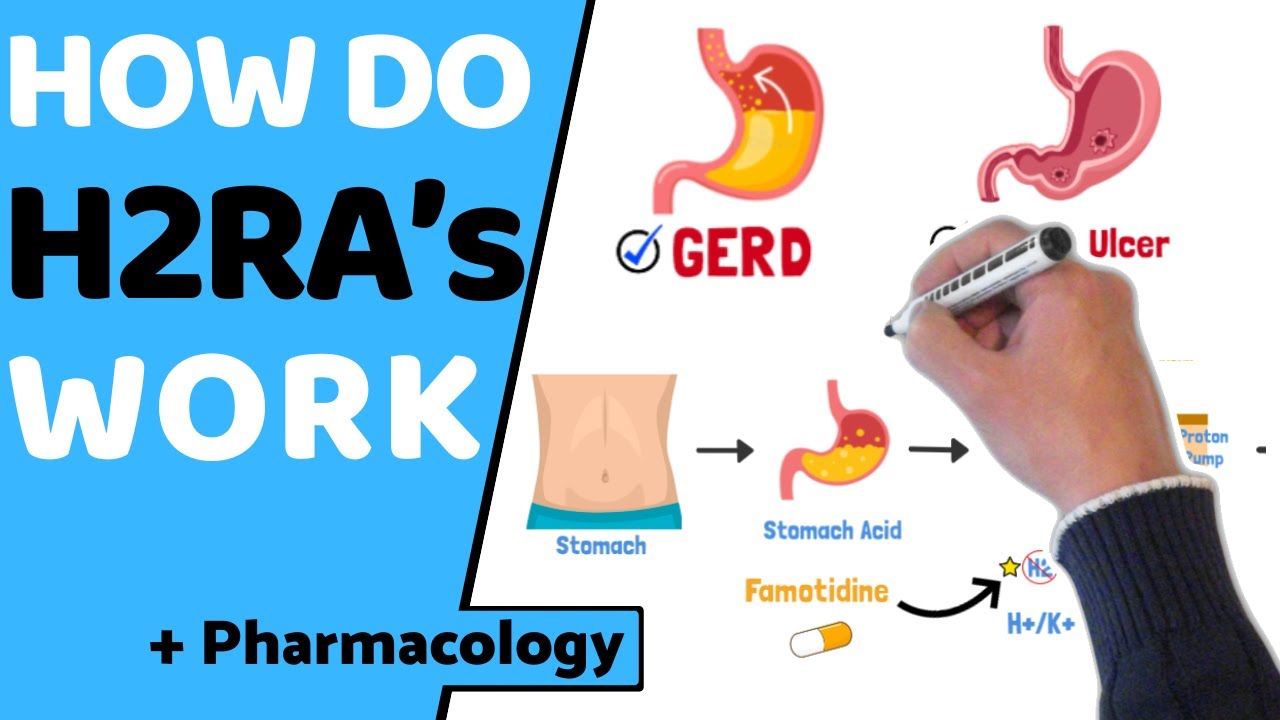 How do H2RA's Work? (EASY Pharmacology)