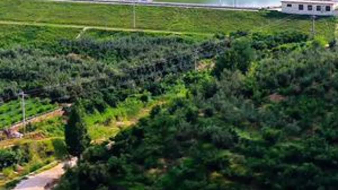 今天的视频带你走进最美防火路，这可是一条宝藏路线，沿途可以捡蘑菇，逮蚂蚱，采黄花，野餐，耐心看完心情舒畅#大山深处自然美山清水秀好风光 #大山深处自然美山清水秀好风光 #带你一起看风景 #内容启...