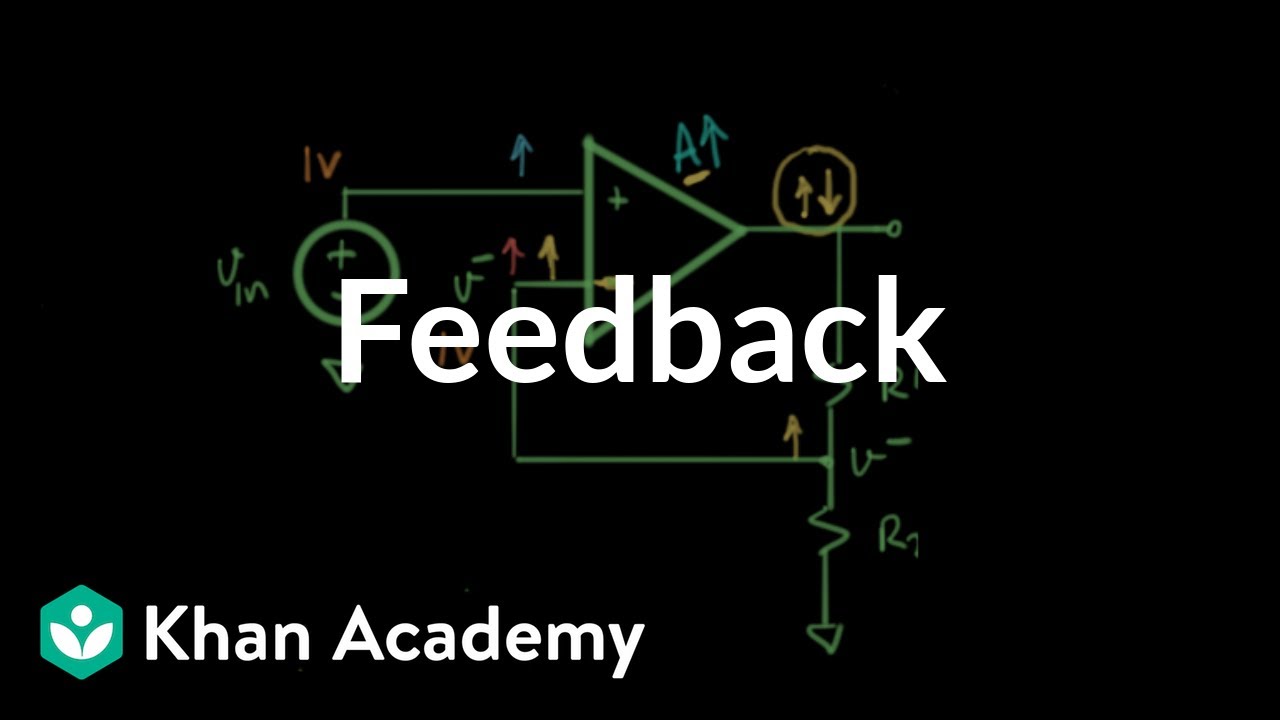 Feedback