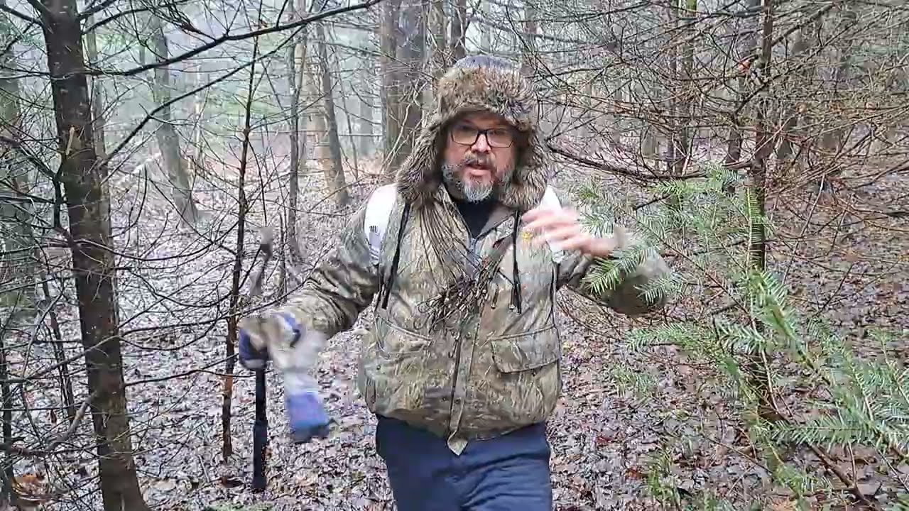 trappage du coyote / coyote trapping vidéo 1/4