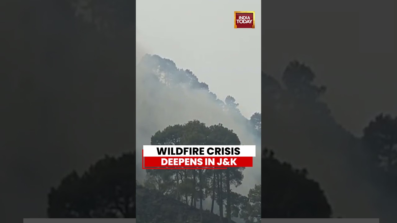 J&K Forest Fire Enters Second Day as Flames Spread in Ramban District