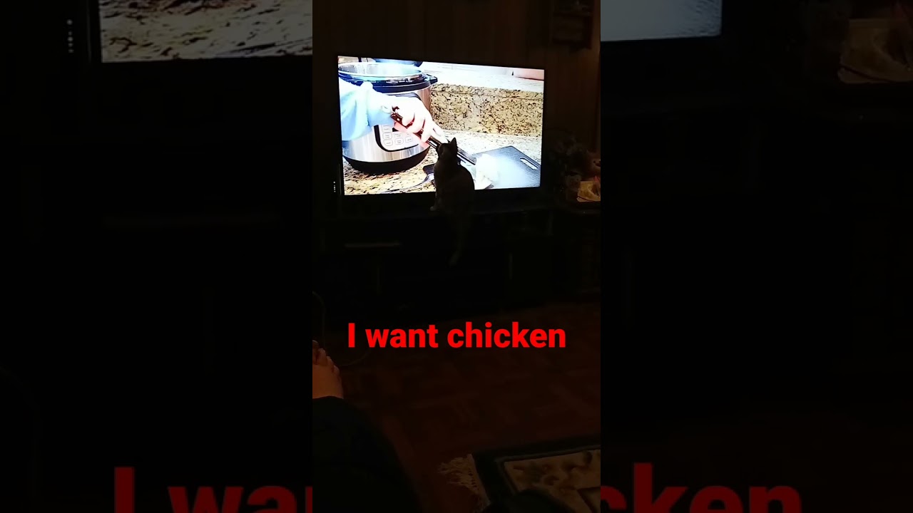 Patches learning to make chicken
