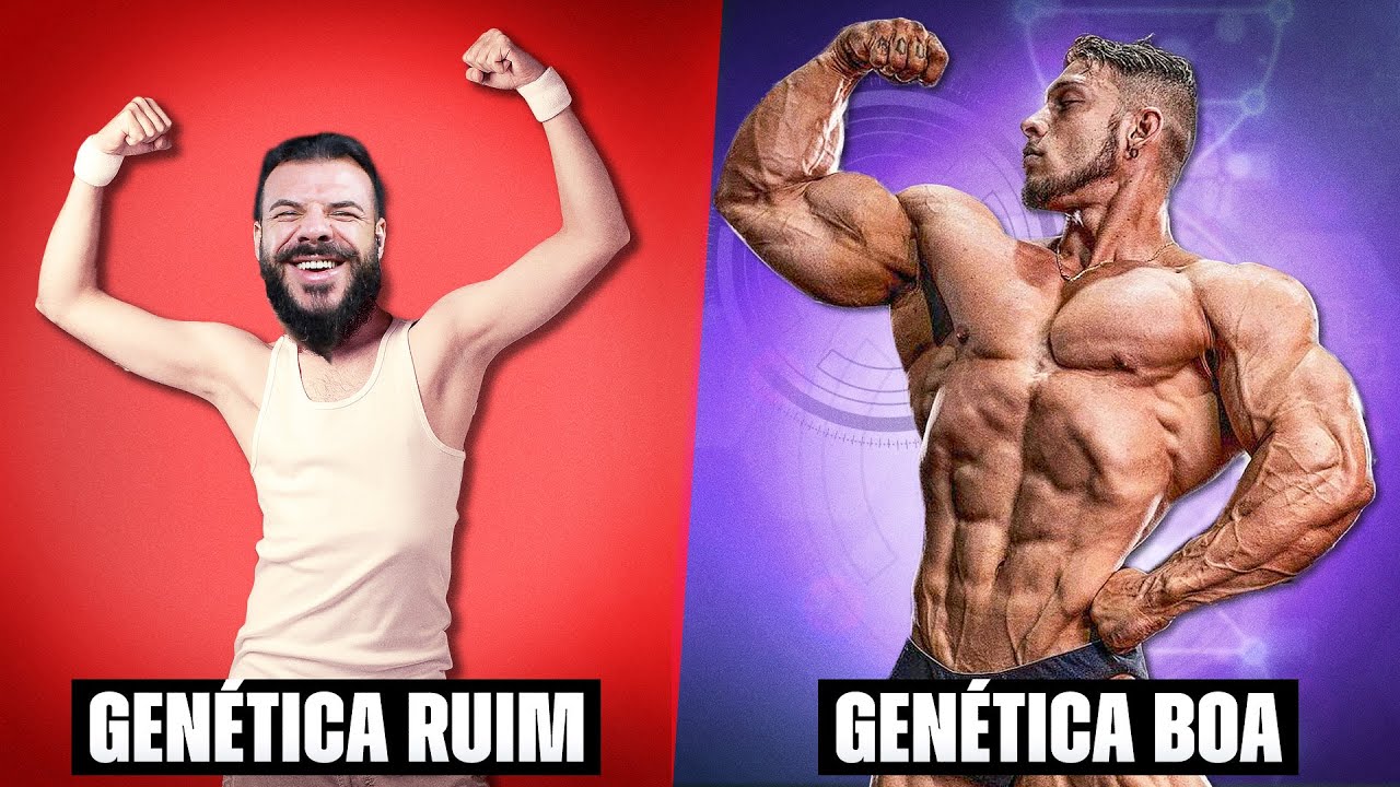 Sua GENÉTICA É BOA para construir MÚSCULO ou ela te LIMITA?