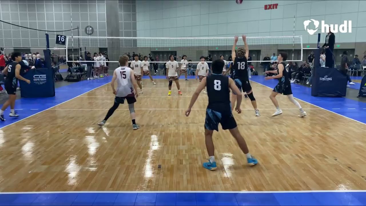 18s Highlights